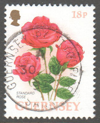 Guernsey Scott 584 Used - Click Image to Close